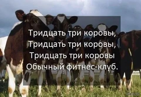 ТрИДЦать три корБЁы Тридцать три коровы Тридцать три коровы Обычнзъйфитйесжіпуб А 1 571197 в Г