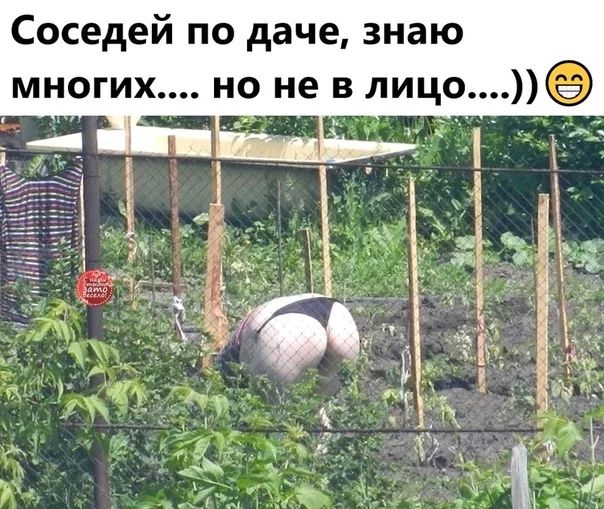 Соседей по даче знаю многих но не в лицое