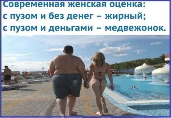 овременная женская оценка с пузом и без денег жирный с пузом и деньгами медвежонок