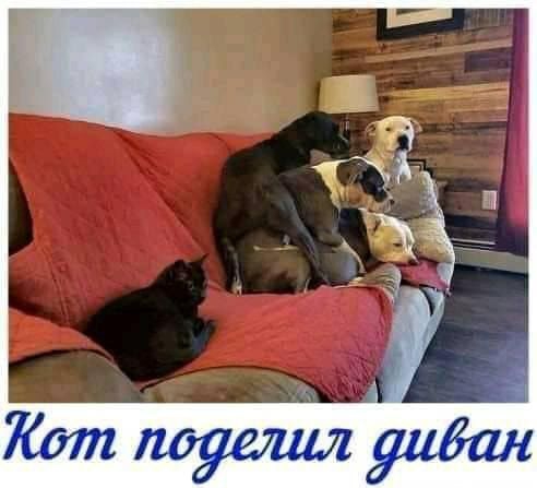 Жил умёж