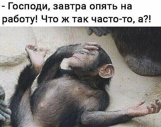 Господи завтра опять на работу Что ж так часто то а