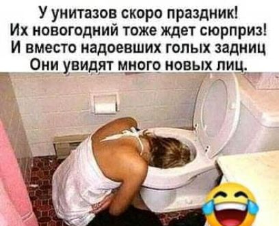 У унитазов скоро праздник Их новогодний тоже ждет сюрприз И вместо надоевших голых задниц Они увидят мго ковш лиц