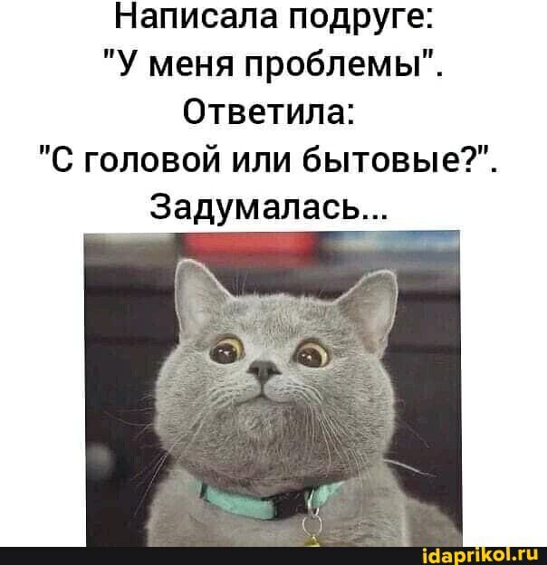 Написала подруге У меня проблемы Ответила С головой или бытовые Задумалась _ іба п о