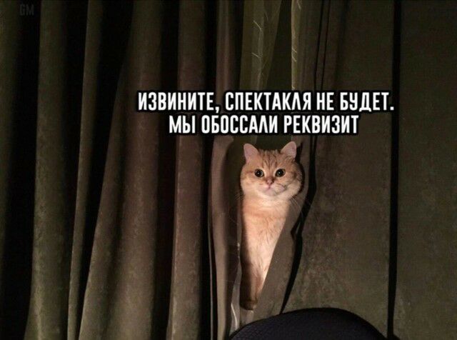 ИЗВИНИТЕ ВПЕКТАКМ НЕ БНДЕТ МЫ ПБПЕБААИ РЕКВИЗИТ