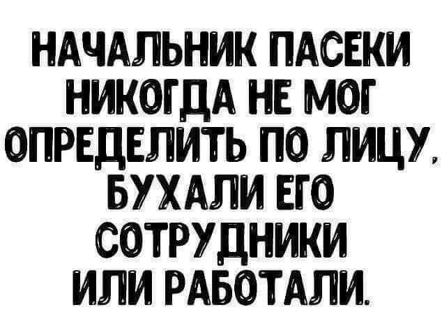 НАЧАЛЬНИК ПАСЕКИ НИКОГДА НЕ МОГ ОПРЕДЕЛИТЬ ПО ЛИЦУ БУХАЛИ ЕГО СОТРУДНИКИ ИЛИ РАБОТАЛИ