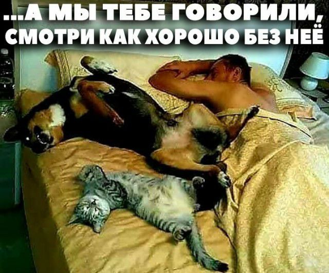 ама ТЕБа ОВОЕИЦЁЁ