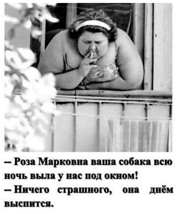Роз Мярковня ваша собак всю ночь выла у нпс под окном Ничего стр шего он днём выши шт