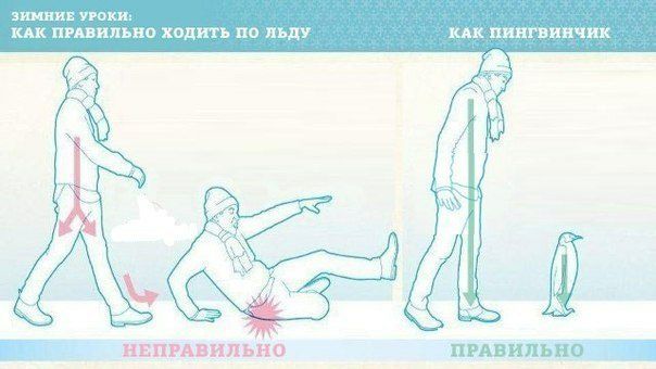 зимиив пони кпк пгввипьно ходить по льду мк пингвинчик _Г нипипильно приживши