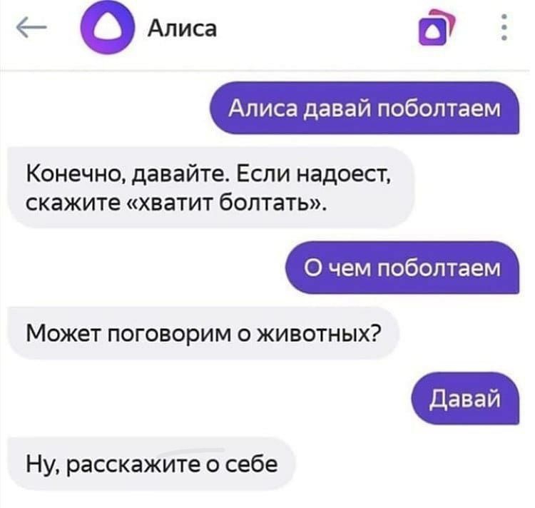 и Аписа Алиса давай поболтаем Конечно давайте Если надоест скажите хватит болтать О чем поболтаем Может поговорим о животных Давай Ну расскажите о себе