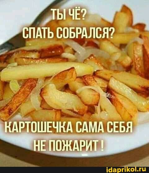 _71 ШЁПЩДЩд ЧНЁШ