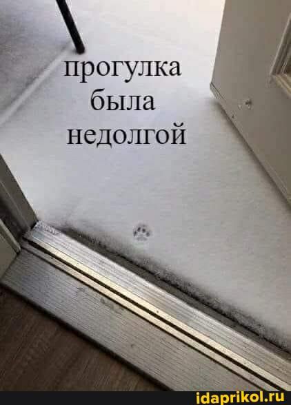 прогулка была недолгой