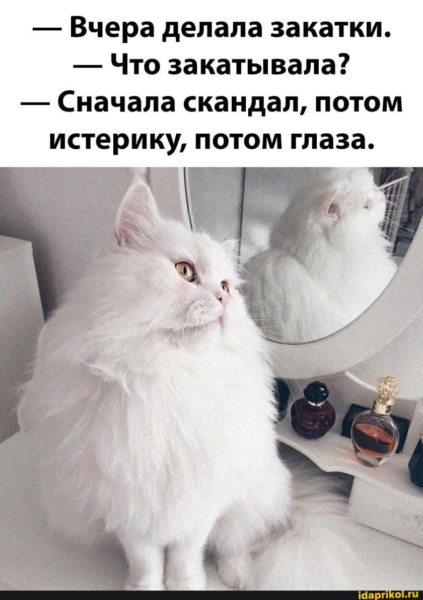 Вчера делала закатки Что за катывала Сначала скандал потом истерику потом глаза