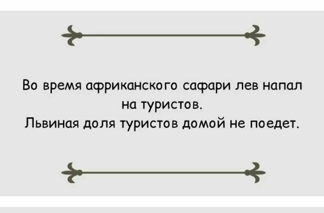 _ Во время африканско го сафари лев напал на туристов Львиная доля туристов домой не поедет _