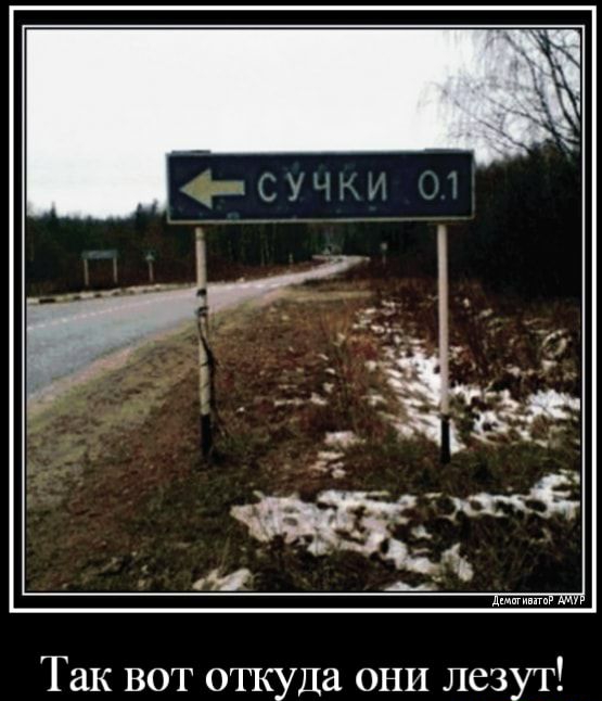 Так вот откуда они лезут