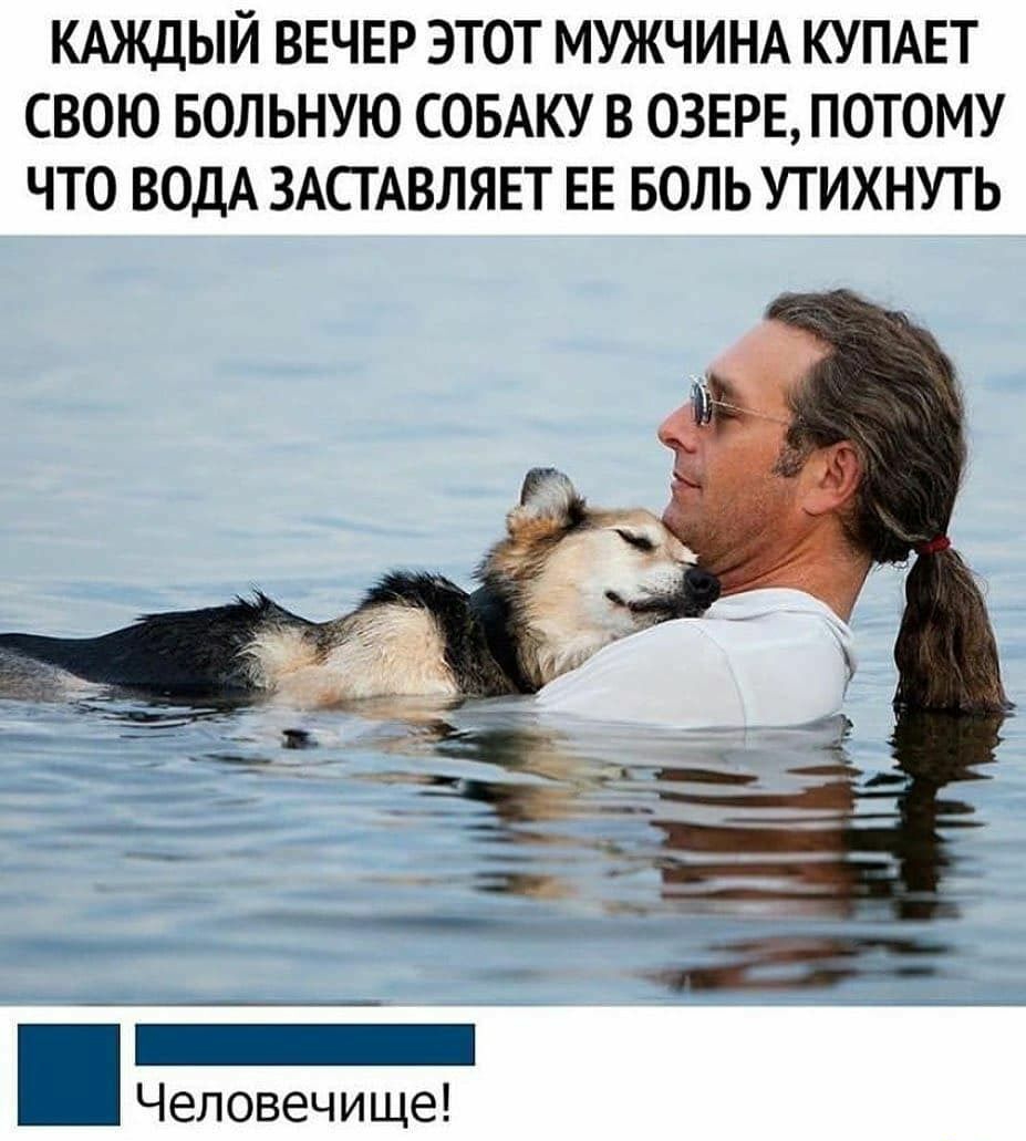 КАЖДЫЙ ВЕЧЕР ЭТОТ МУЖЧИНА КУПАЕТ СВОЮ БОЛЬНУЮ СОБАКУ В ОЗЕРЕ ПОТОМУ ЧТО ВОДА ЗАСТАВЛЯЕТ ЕЕ БОЛЬ УТИХНУТЬ Человечище