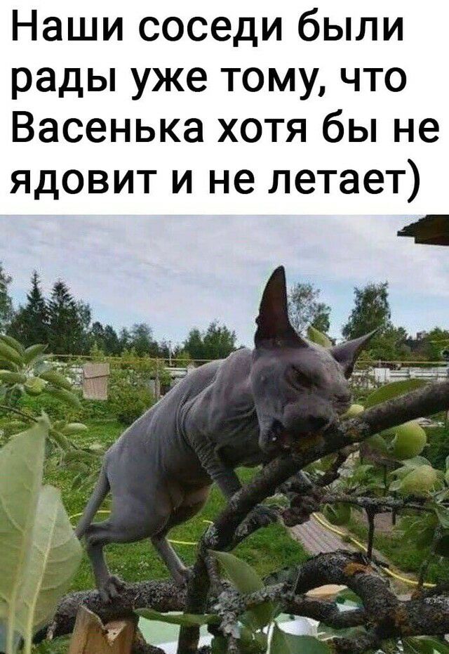 Наши соседи были рады уже тому что Васенька хотя бы не ядовит и не летает