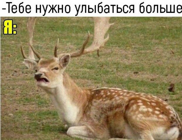 Тебе нужно улыбаться больш
