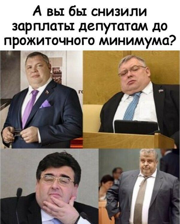 А вы бы снизили зарплаты депутатам до прожиточного минимума