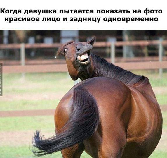 Когда девушка пытается показать на фото красивое лицо и задницу одновременно