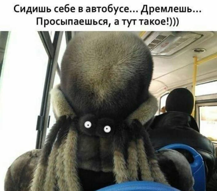 Сидишь себе в автобусе дремлешь Просыпаешься а тут такое