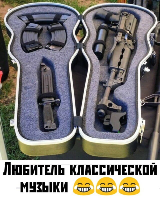 міг ЛШнитшь клипичпжпи МШЫКИ 8113 1133 пЭ