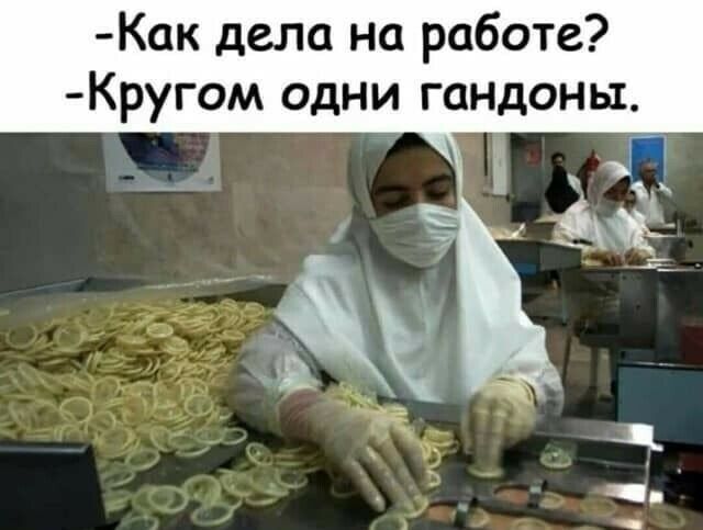 Как дела на работе Кругом одни гандоны