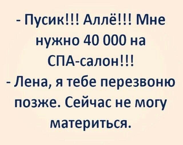 Пусик Аллё Мне нужно 40 000 на СПА салон Лена я тебе перезвоню позже Сейчас не могу материться