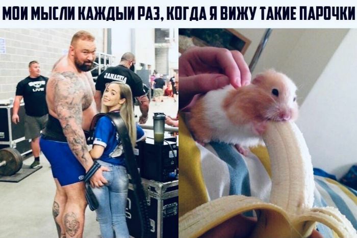 МПИ МЫШИ КАЖДЫИ РАЗ ШПА Я вижу ТАКИЕ ПАРПЧКИ