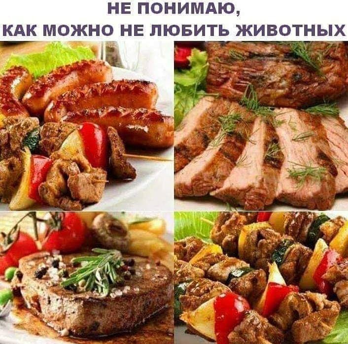 НЕ ПОНИМАЮ КАК МОЖНО НЕ ЛЮБИТЬ ЖИВОТНЫ