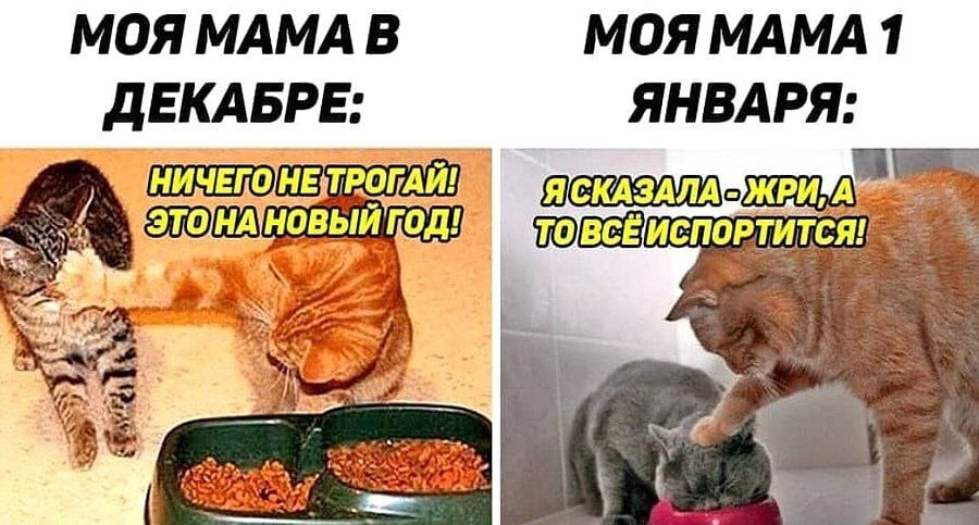 МОЯ МАМА В МОЯ МАМА 1 ДЕКАБРЕ ЯНВАРЯ