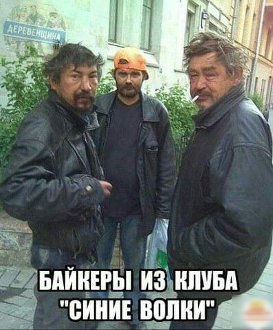 днища даним сини р_п_пии