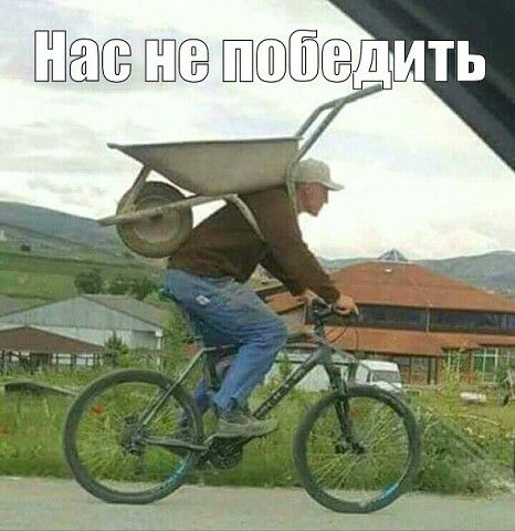 Жди