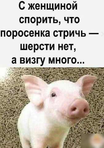 С женщиной спорить что поросенка стричь шерсти нет а визгу много