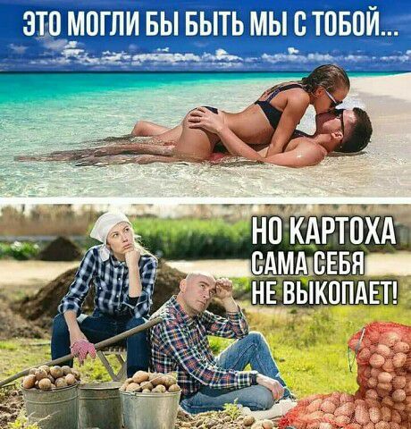 ЭШ МОГЛИ БЫ БЫТЬ МЫ ВТПБПЙ