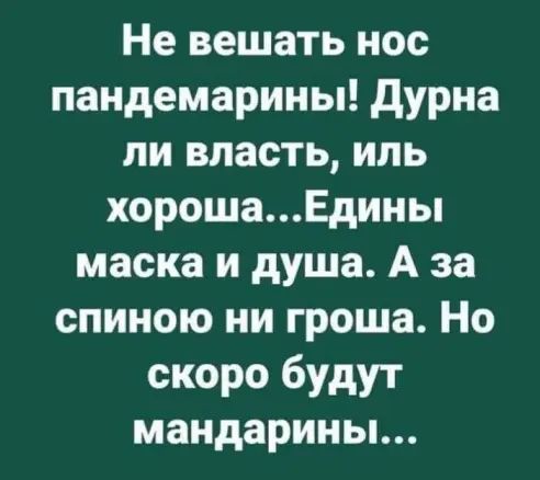 Не вешать нос пандемарины дурна пи власть иль хорошаЕдины маска и душа А за спиною ни гроша Но скоро будут мандарины
