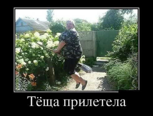 Тёща прилетела