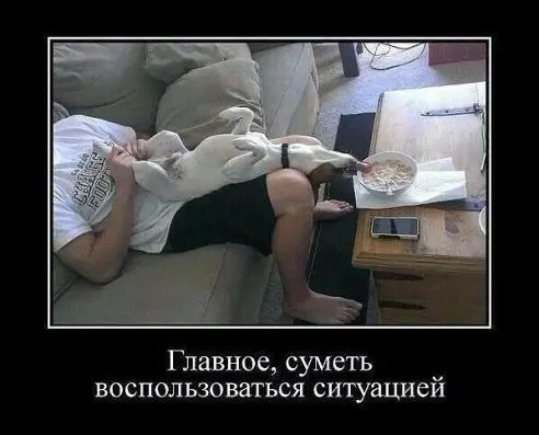 Главное суметь воспользоваться ситуацией