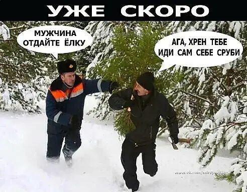 МУЖЧ ОТДАЙТЕ Елку