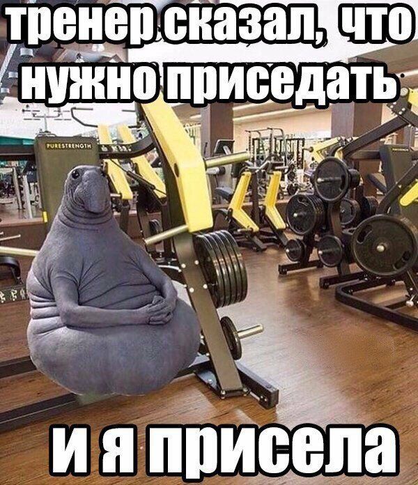 тііенЙсііазап что ііііжііо пписедат