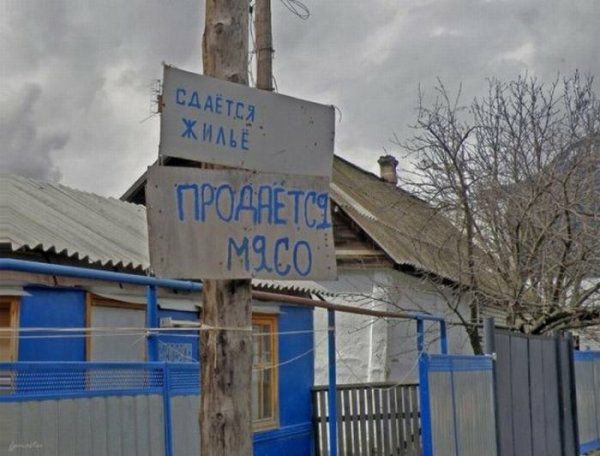 шпик _