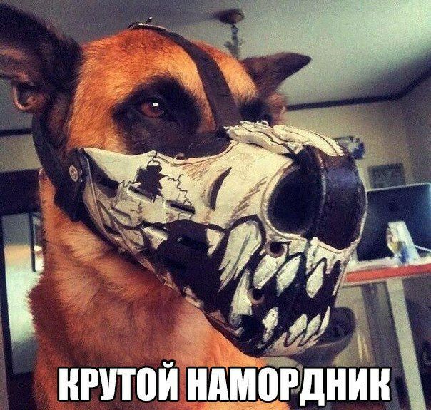 ііічітой іід гднин