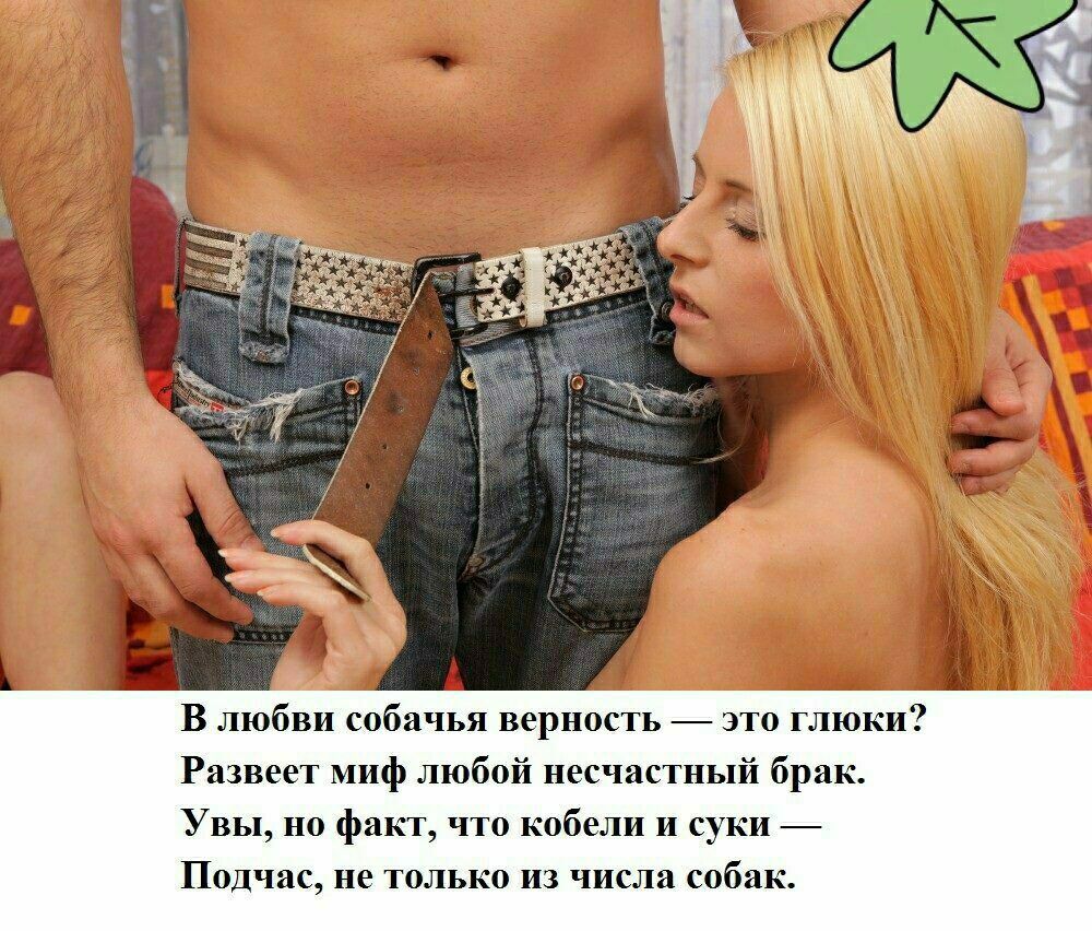 В любви собачья верность это глюки Развеет миф любой несчастный брак Увы но факт что кобели И суки Подчас не только из числа собак