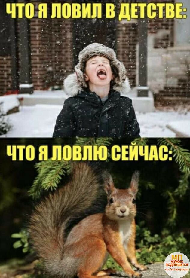 ПЮПТПЦ ШЮ