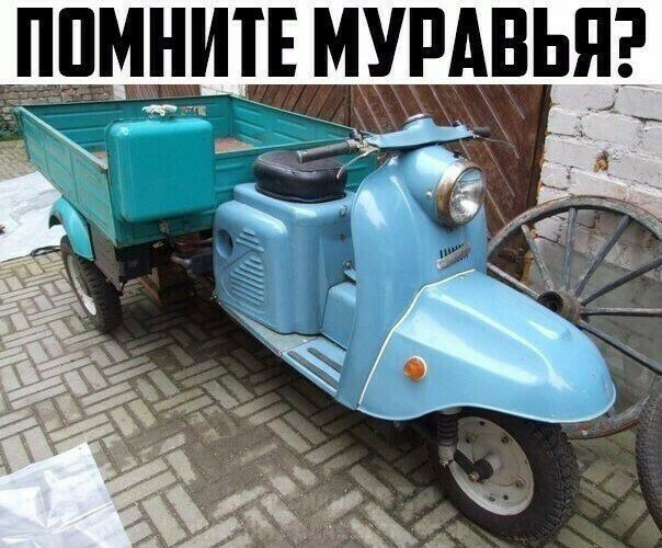 ППМНИТЕМУРАВЬЯЁ