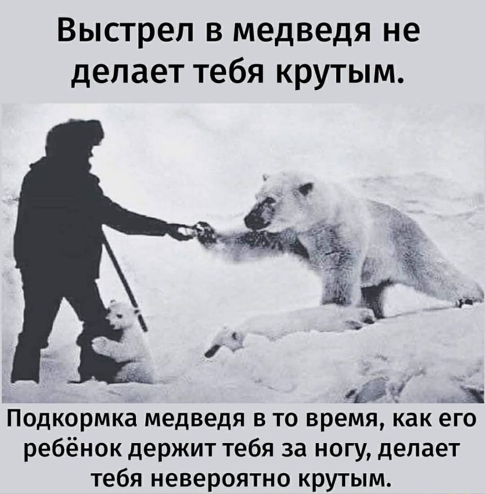 Выстрел в медведя не делает тебя крутым ___ Дт Подкормка медведя в то время как его ребёнок держит тебя за ногу делает тебя невероятно крутым