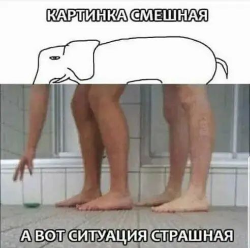 КАРТИНКА СМЕШНАЯ А ВОТ СИТУАЦИЯ СТРАШНАЯ