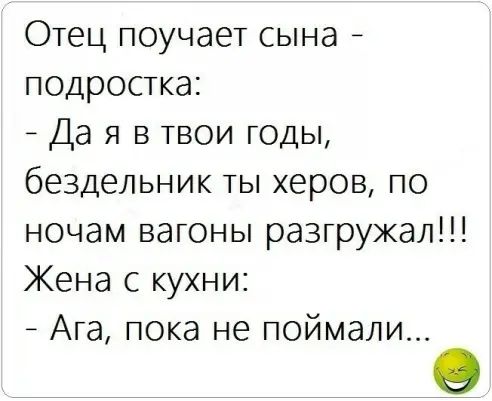 Отец поучает сына _ подростка Да я в твои годы бездельник ты херов по ночам вагоны разгружая Жена с кухни Ага пока не поймали