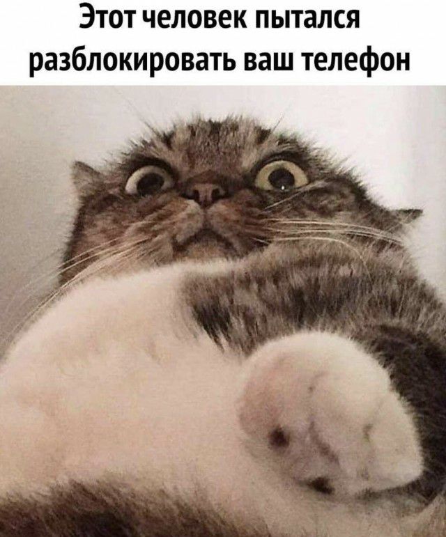 Этот человек пытался разблокировать ваш телефон