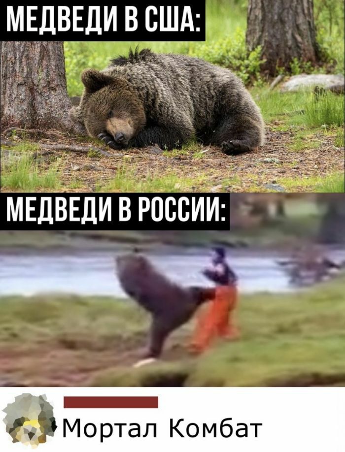 МЕДВЕДИ в МЕДВЁДИ в РпсЬИИ _ к ёМортал Комбат