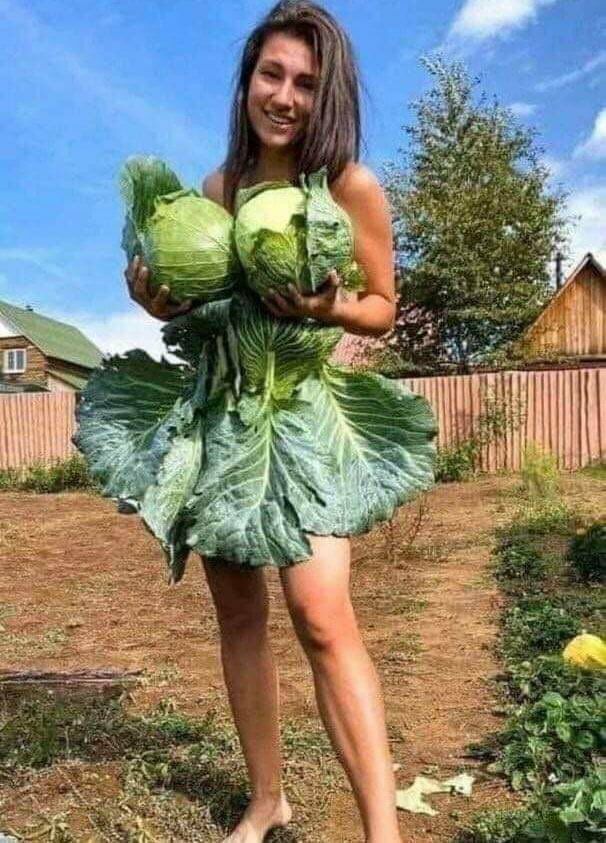 Ч 15